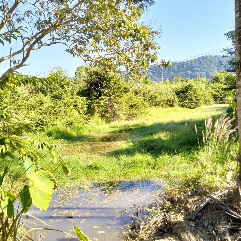 ที่ดิน 28000000 จันทบุรี นายายอาม นายายอาม