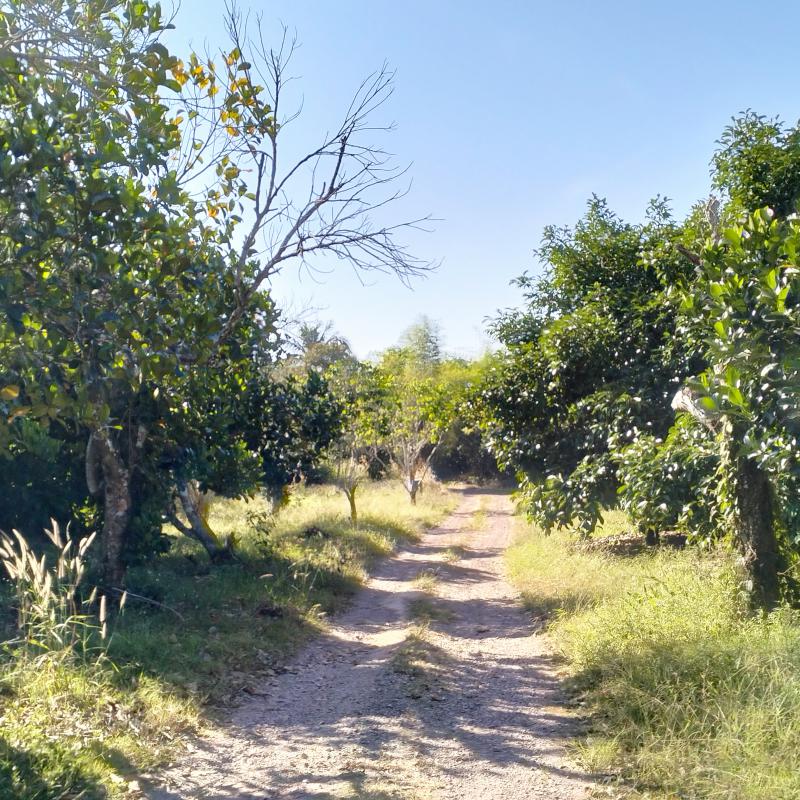 ที่ดิน 28000000 จันทบุรี นายายอาม นายายอาม