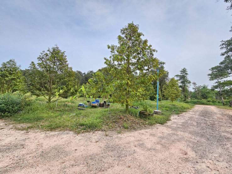 ไร่สวน 7000000 จันทบุรี ท่าใหม่ รำพัน