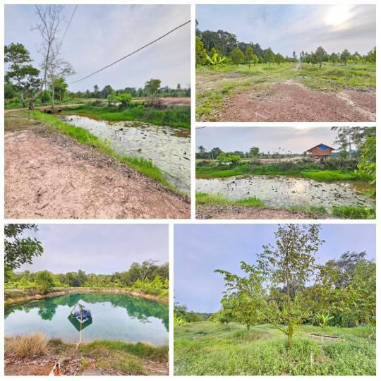ไร่สวน 7000000 จันทบุรี ท่าใหม่ รำพัน