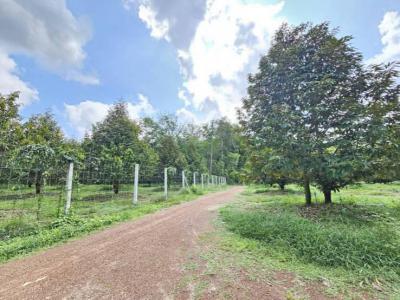 ที่ดิน 25000000 จันทบุรี นายายอาม นายายอาม