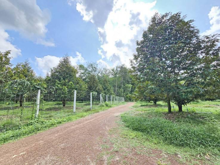 ที่ดิน 25000000 จันทบุรี นายายอาม นายายอาม