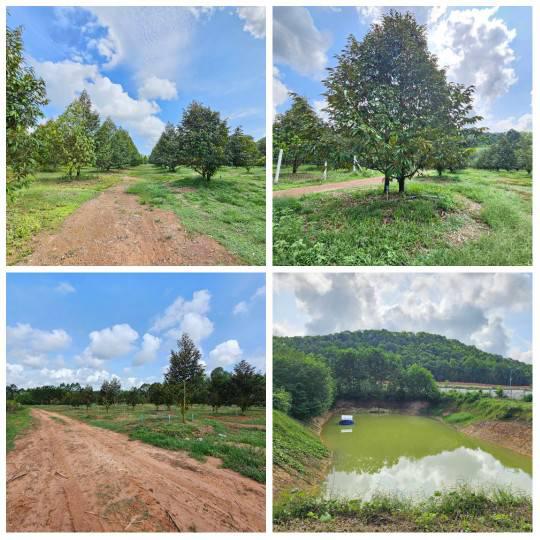 ที่ดิน 25000000 จันทบุรี นายายอาม นายายอาม