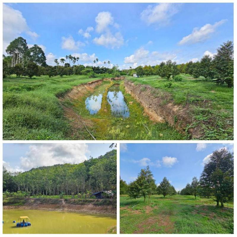 ที่ดิน 25000000 จันทบุรี นายายอาม นายายอาม